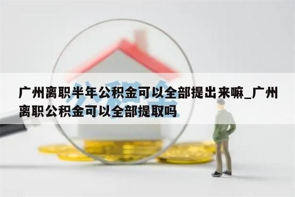 广州离职半年公积金可以全部提出来嘛_广州离职公积金可以全部提取吗